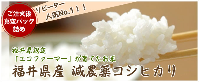 福井県産 減農薬 コシヒカリ