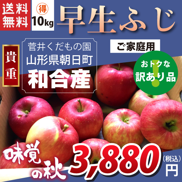 山形県朝日町和合産】 和合りんご 早生ふじ ご家庭用(訳あり)１０ｋｇ 産地直送 送料無料！（沖縄・離島を除く)