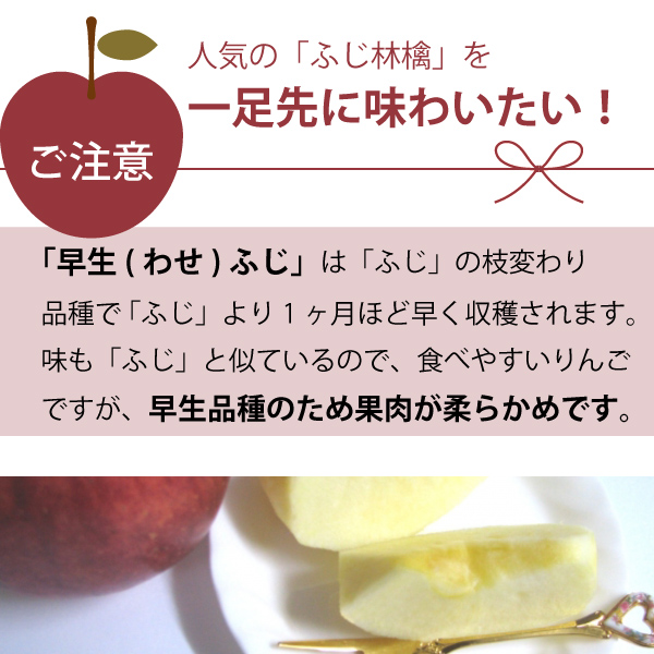 山形県朝日町和合産】 和合りんご 早生ふじ ご家庭用(訳あり)１０ｋｇ 産地直送 送料無料！（沖縄・離島を除く)