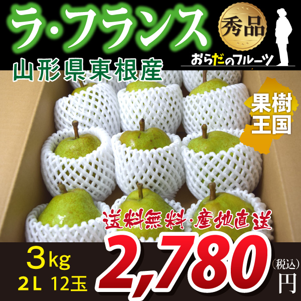 山形県東根産 ラ フランス 秀品 3ｋｇ 2lサイズ 12玉 産地直送 送料無料 沖縄 離島を除く 10月下旬 順次発送