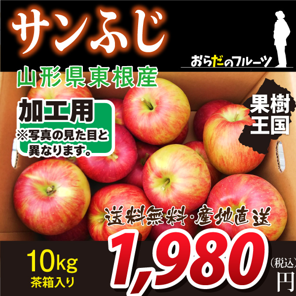 山形県朝日町和合産】 和合りんご サンふじ 加工用 ５ｋｇ 送料無料！（沖縄・離島を除く)時間指定可！